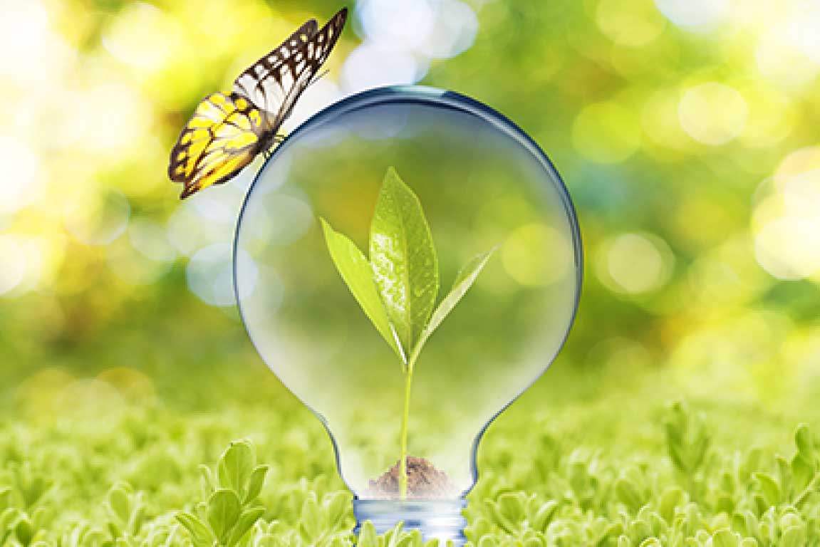 GreenYellow light bulb with butterfly GreenYellow Việt Nam | Shift To Profitable Energy