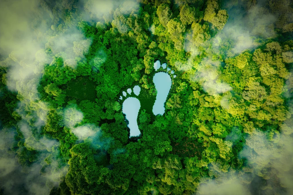 Carbon footprint là gì và cách giảm thiểu dấu chân carbon?