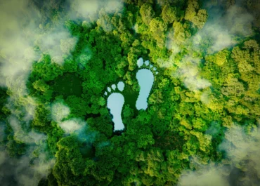Carbon Footprint Là Gì? Giảm Thiểu Dấu Chân Carbon cho Doanh Nghiệp