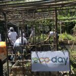 GreenYellow Ecoday 2021