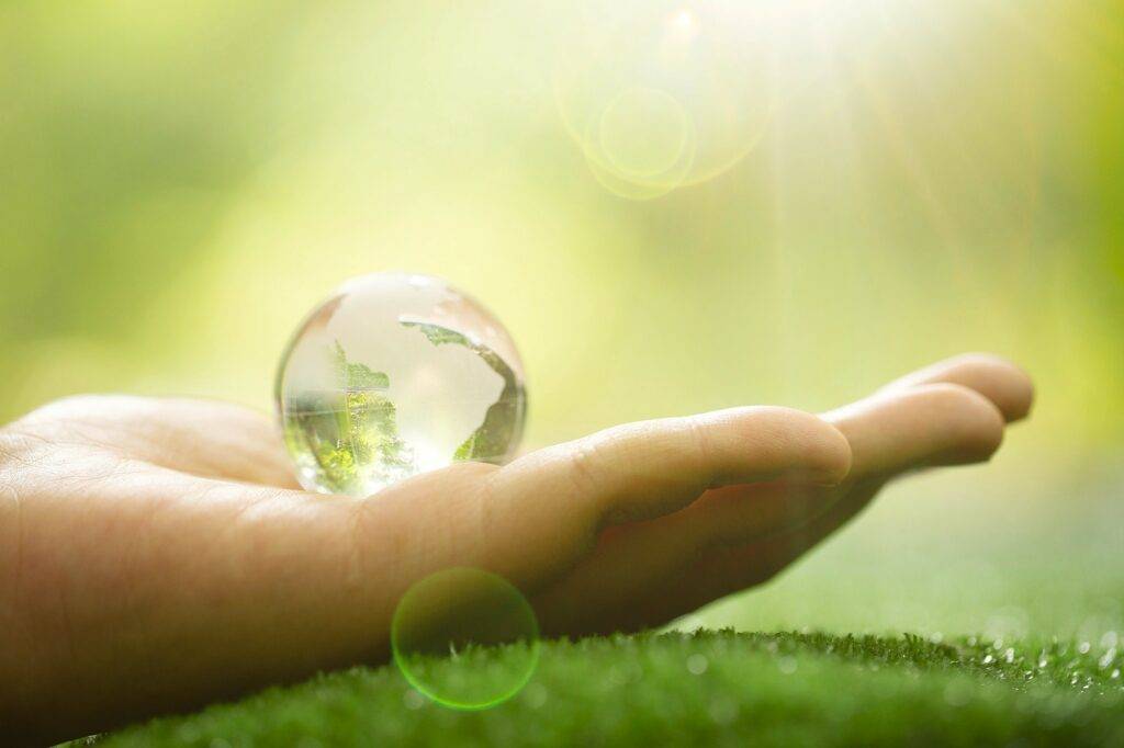 Net zero là gì?