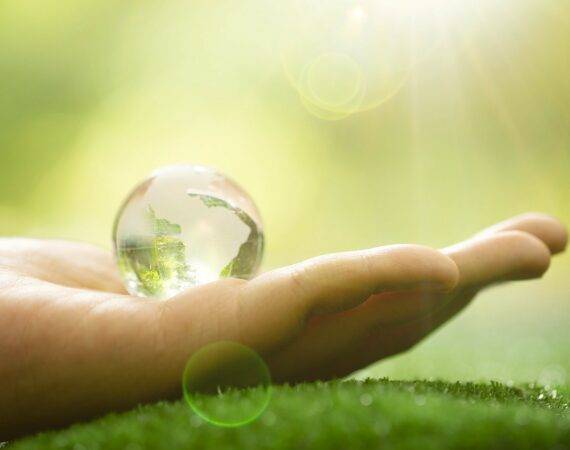 Net Zero Là Gì? Doanh Nghiệp Cần Làm Gì Để Dẫn Đầu Trên Hành Trình Hướng Đến Net Zero?