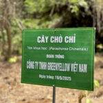 5 2 GreenYellow Việt Nam | Shift To Profitable Energy